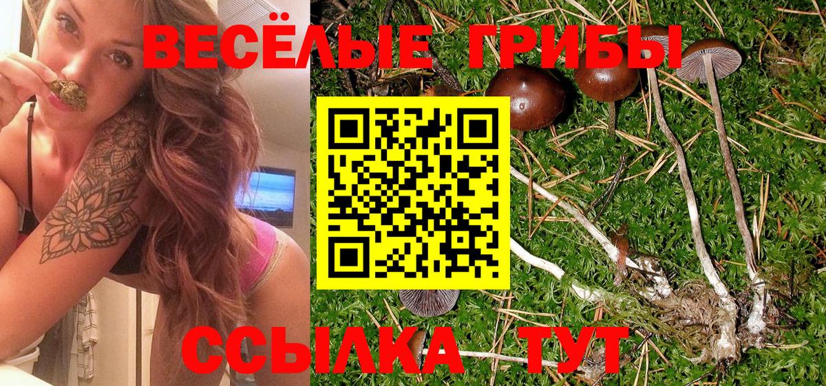 Галлюциногенные грибы MAGIC MUSHROOMS Ессентуки