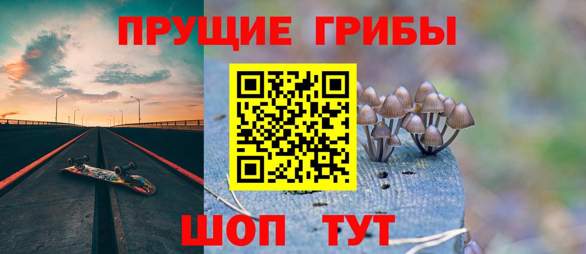 Галлюциногенные грибы GOLDEN TEACHER  Вход с VPN  Ессентуки 